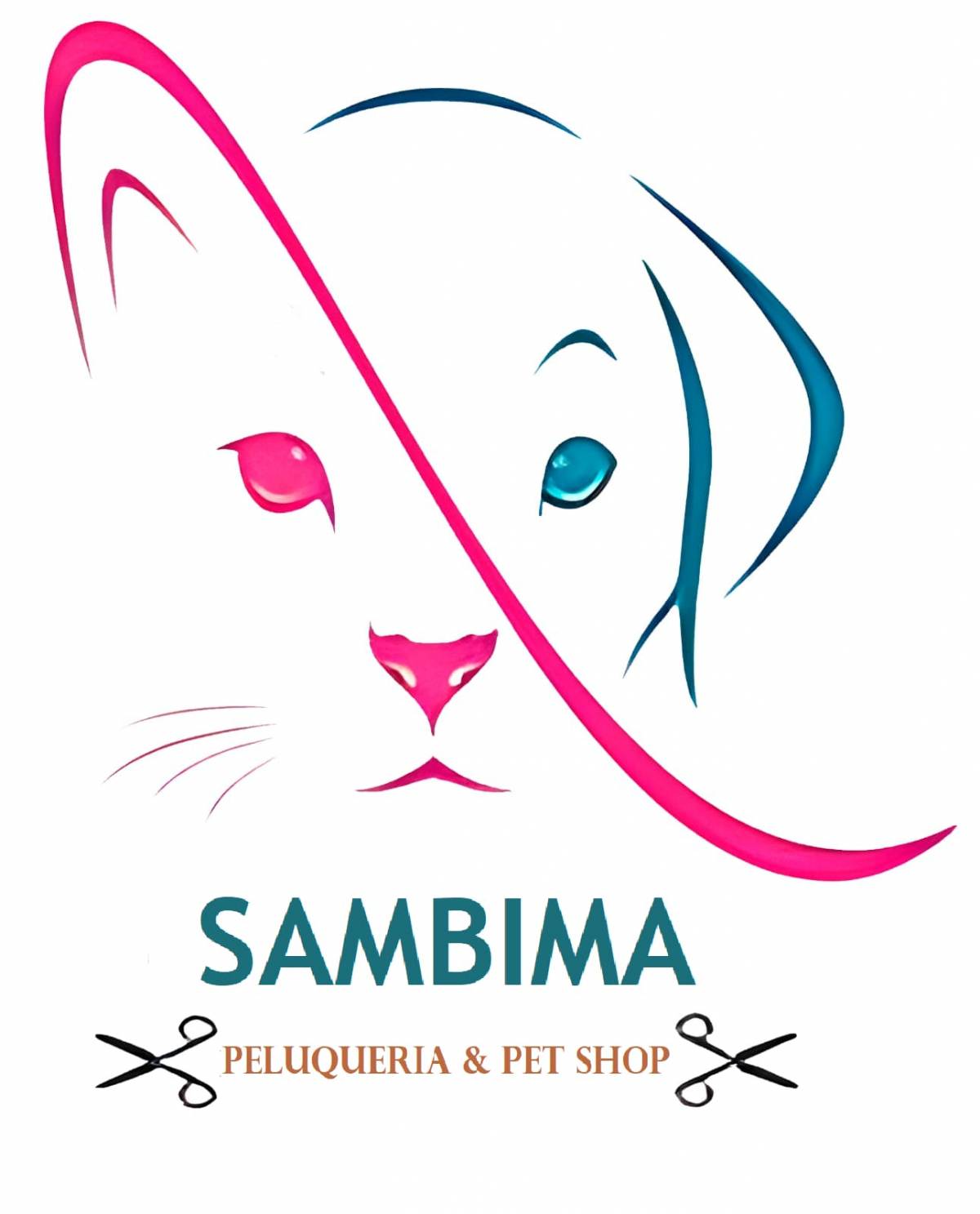 Sambima - San Felipe de Aconcagua - Paseador de perros