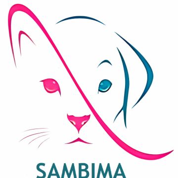 Sambima - San Felipe de Aconcagua - Paseador de perros