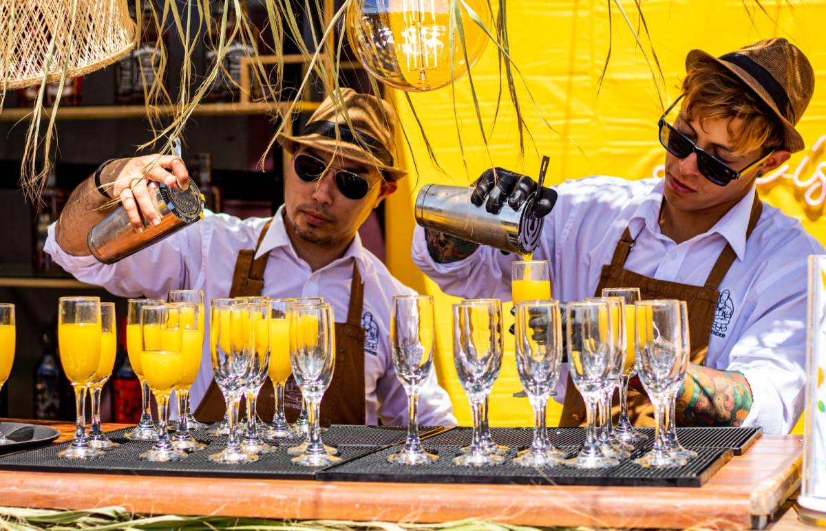 Somos tu Bartender - Arica - Bartending
