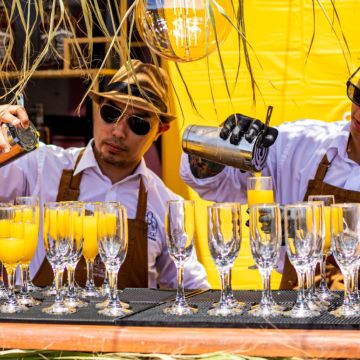 Somos tu Bartender - Arica - Bartending