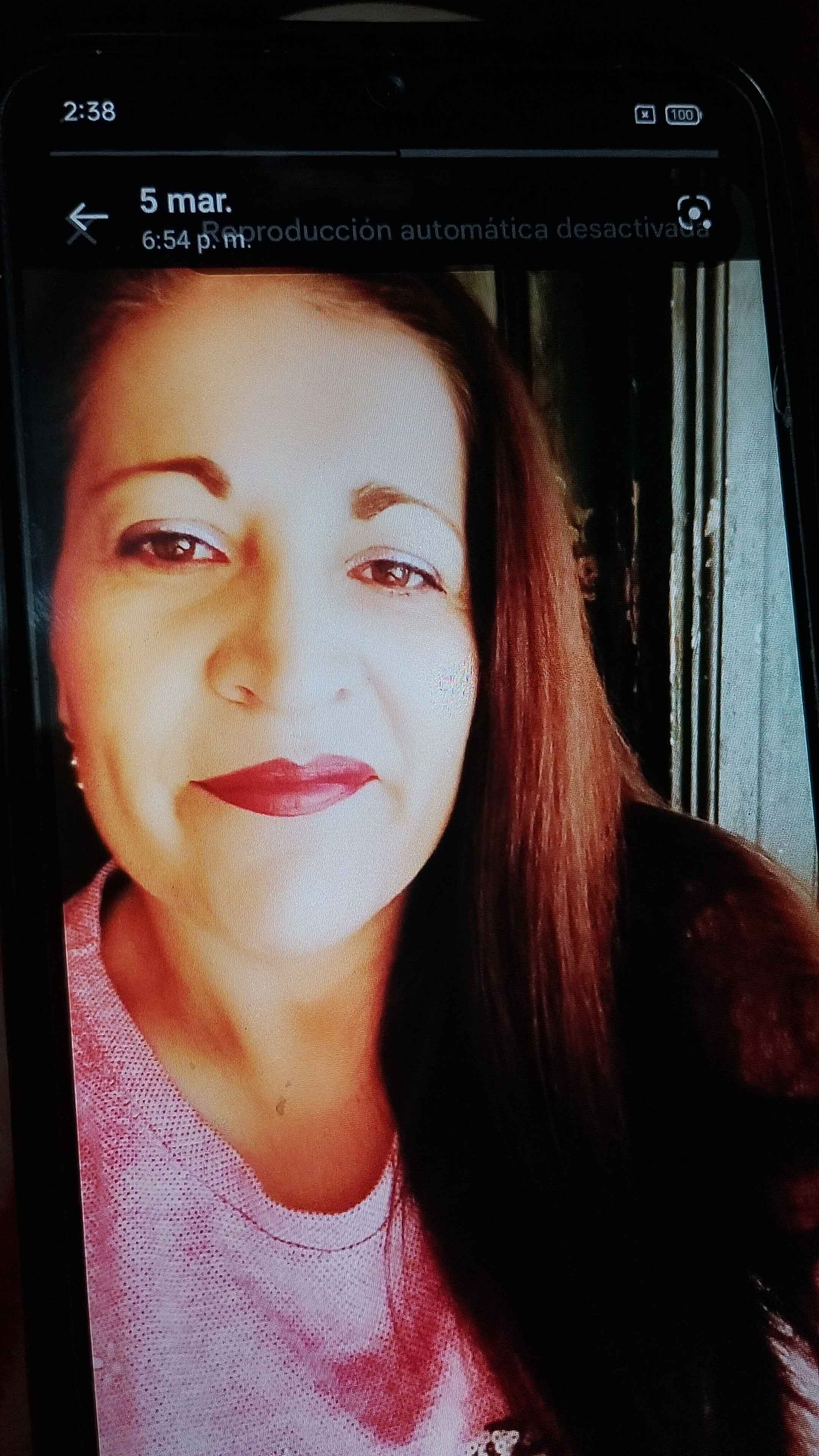 Carolina Cabrera - Santiago - Window Blinds Cleaning