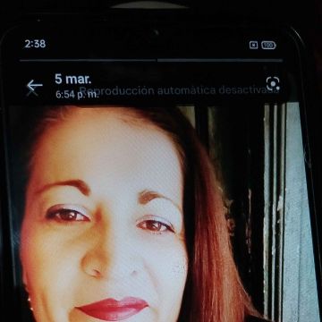 Carolina Cabrera - Santiago - Property Cleanup