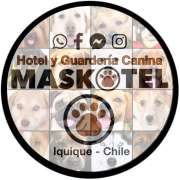MASKOTEL - Iquique - Guardería para perros