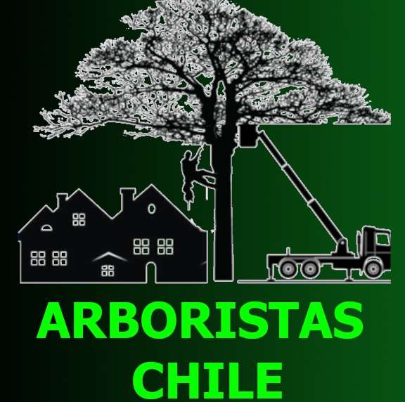 Arboristas Chile - Ñuble - Eliminación de arbustos