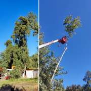 Arboristas Chile - Ñuble - Paisajismo