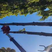 Arboristas Chile - Ñuble - Instalación de césped artificial