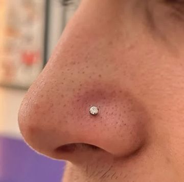 Piercing Artist