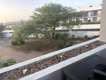 Carpinteiro