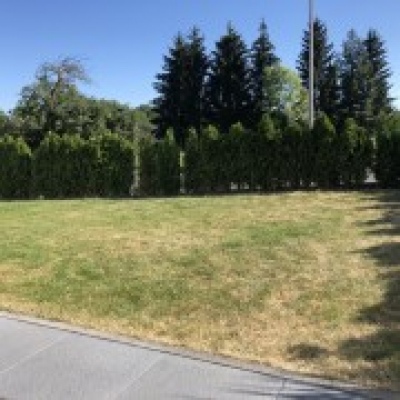 Kunstrasen König - Frankfurt am Main - Kunstrasen verlegen