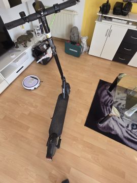 Spezialist für Scooter