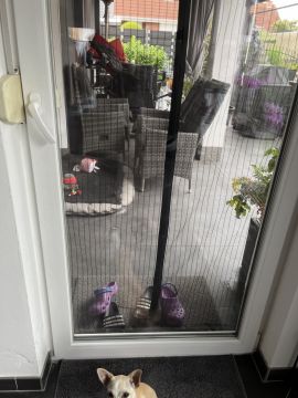 Pet Door Installer