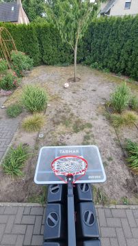 Kunstrasen verlegen
