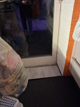 Pet Door Installation