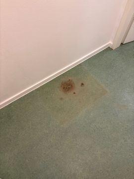 Especialista en suelos de vinilo o laminados para reparación o reemplazo parcial