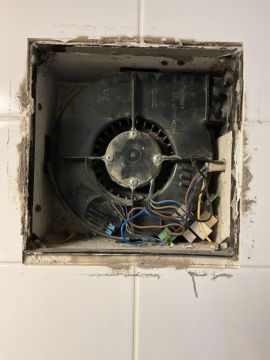 Experten für Badlüfter