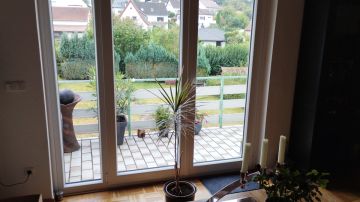 Pet Door Installation