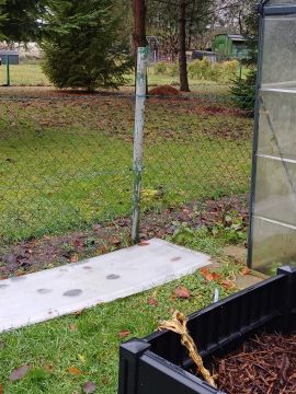 Greenhouse Services - Landscaping