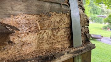 Sauna reparieren oder warten