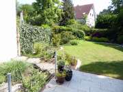 Sod Installation - Landscaping