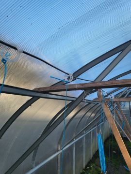 Greenhouse Specialist