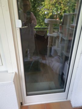 Instalador de puertas para mascotas