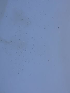 Reparación de jacuzzis y spa