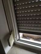 Fenster