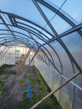 Greenhouse Services - Landscaping