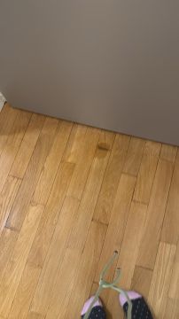 Experten für Parkettböden