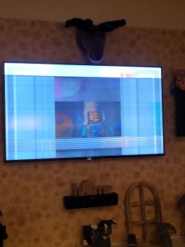 TV Repair Specialist