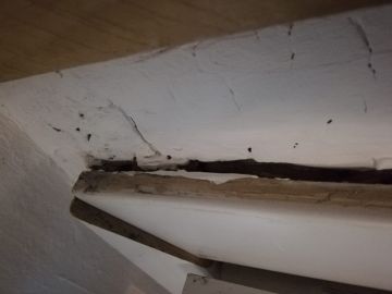 Door Repair - Doors