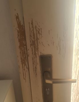 Doors - Home Improvements