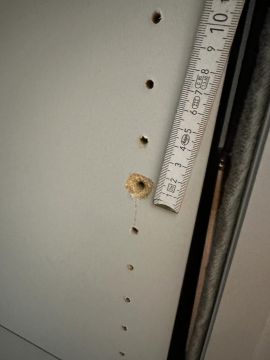 Furniture Repair Professional