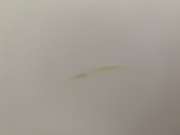 Countertop Repair or Maintenance