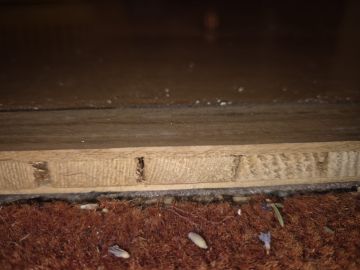 Spécialiste des sols en bois