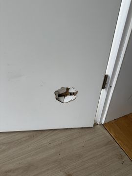 Türreparatur