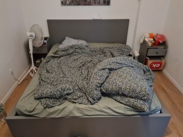 Schädlingsexperten