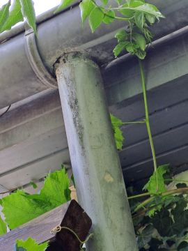 Handwerker für Dachrinnen