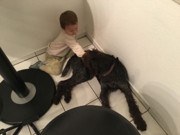 Dog Hotel