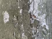 Mudjacking