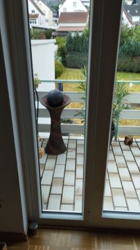 Pet Door Installer