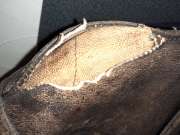 Leather Repair Conditioning and Restoration