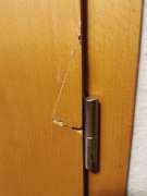 Door Repairman