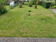 Lawn Mowing and Trimming