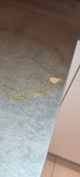 Countertop Repair or Maintenance