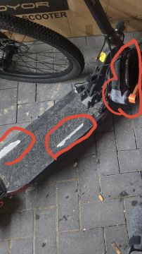 Spezialist für Scooter