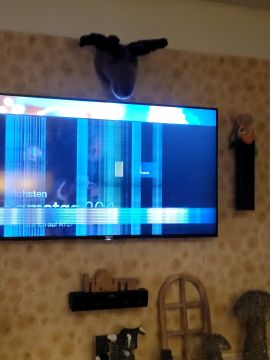 TV Repair Services