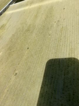 Spezialisten für Gewächshäuser