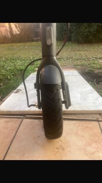 Electric Scooter Specialist