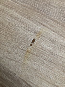 Küchenarbeitsplatte reparieren oder ausbessern